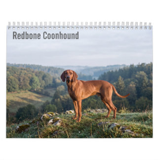 Redbone Coonhounds 2027 Wall calendar