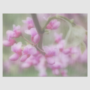 Redbud Blossoms Tissue Paper
