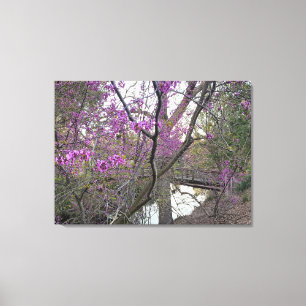 Redbud Bridge Canvas Print