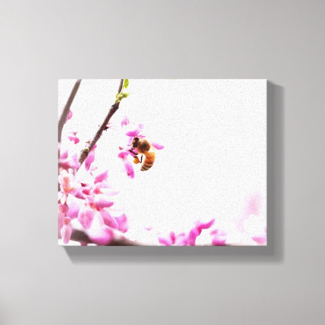 Redbud & honeybee in Springtime Canvas Print (Front)