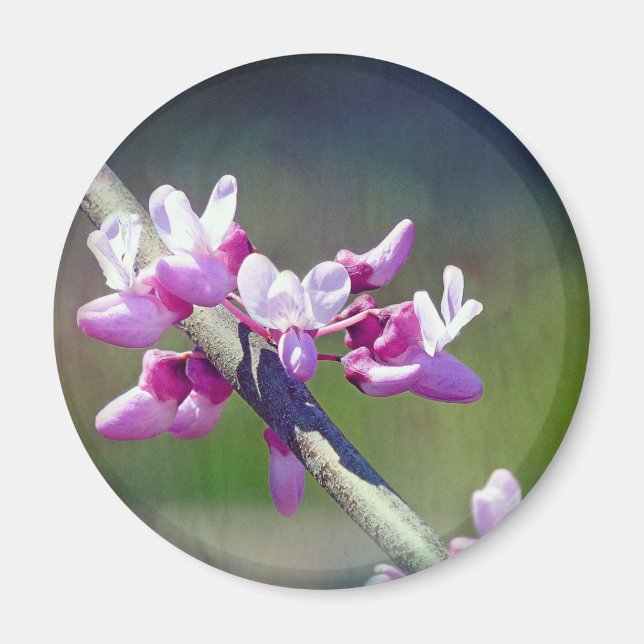 RedBud Magnet (Front)