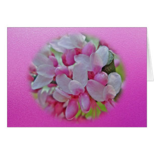 Redbud Tree Blossoms Items