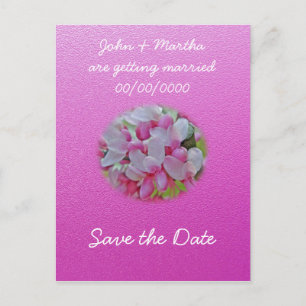 Redbud Tree Blossoms Items Announcement Postcard