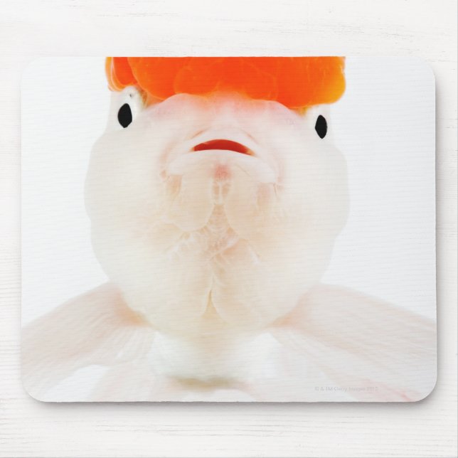 Redcap lionhead goldfish (Carassius auratus) Mouse Pad (Front)