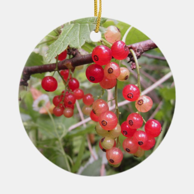 Redcurrant Ceramic Ornament (Front)