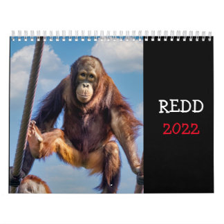 Redd 2022 Calendar