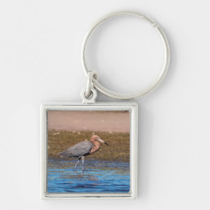 Reddish Egret on North Beach Keychain