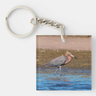 Reddish Egret on North Beach Keychain