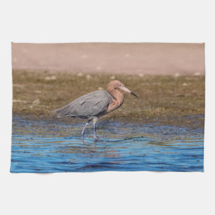 Reddish Egret on North Beach Kitchen Towel