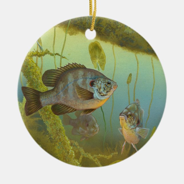 Redear Sunfish Lepomis Microlophus Timothy Knepp Ceramic Ornament (Front)