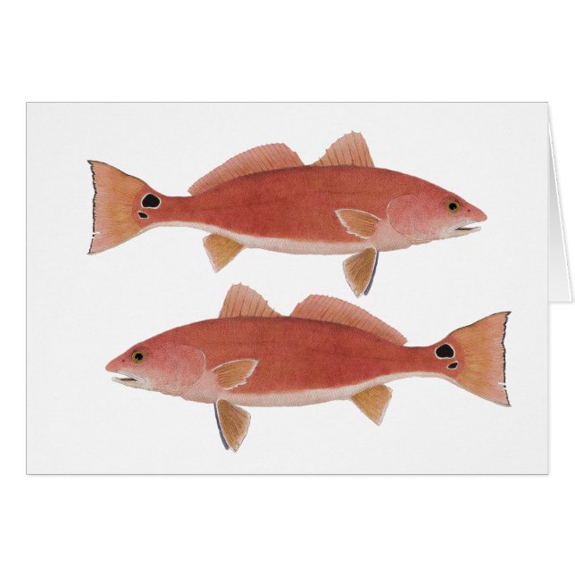 Redfish (Front Horizontal)