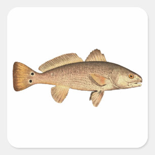 Redfish Logo Square Sticker