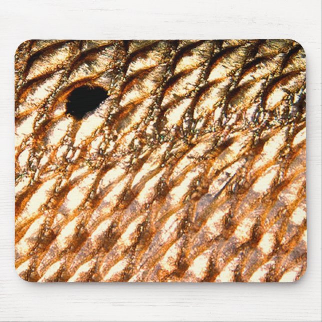 "Redfish" - Red Drum by PatternWear© Mouse Pad (Front)