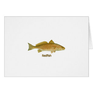 Redfish (titled)
