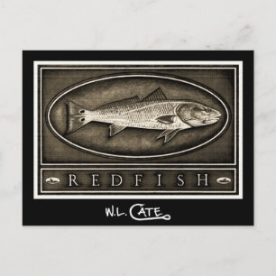 Redfish Vintage Black & White Postcards