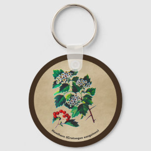 Redhaw Hawthorn On Old Paper Keychain