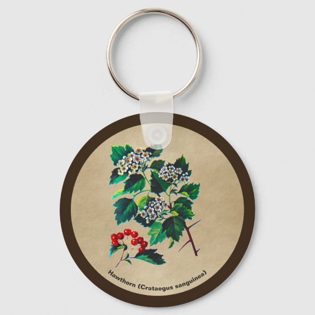 Redhaw Hawthorn On Old Paper Keychain (Front)