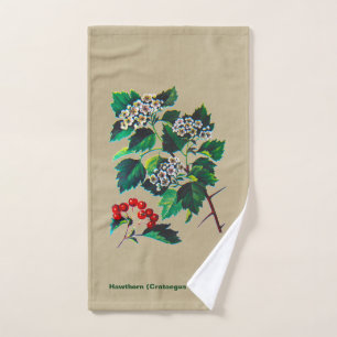 Redhaw Hawthorn sur vieux papier