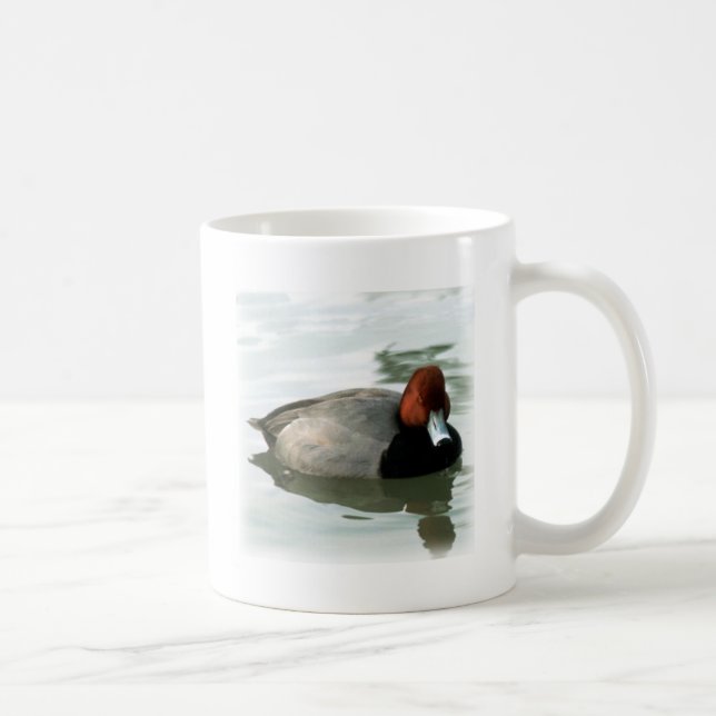 Redhead Drake (untitled) Coffee Mug (Right)