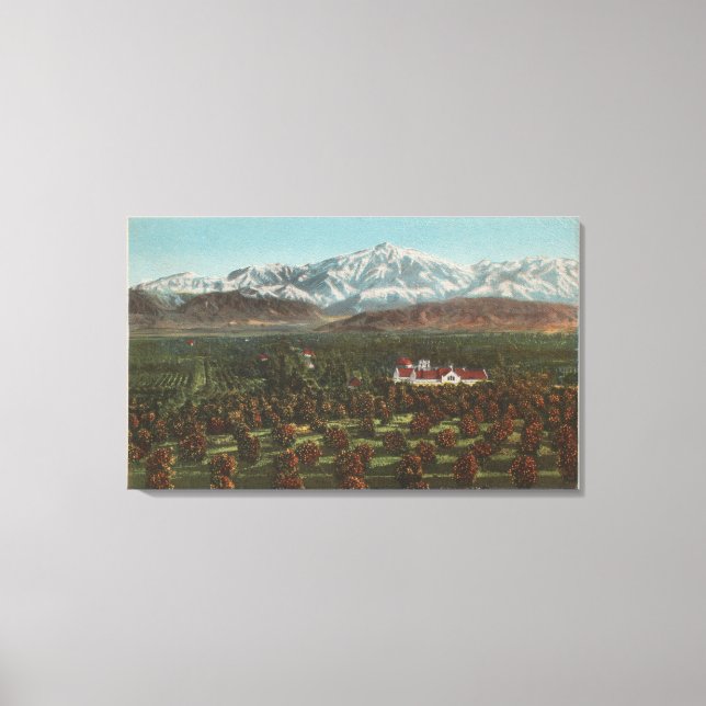 Redlands, CA - Mountain & Orchard Scene Canvas Print (Front)