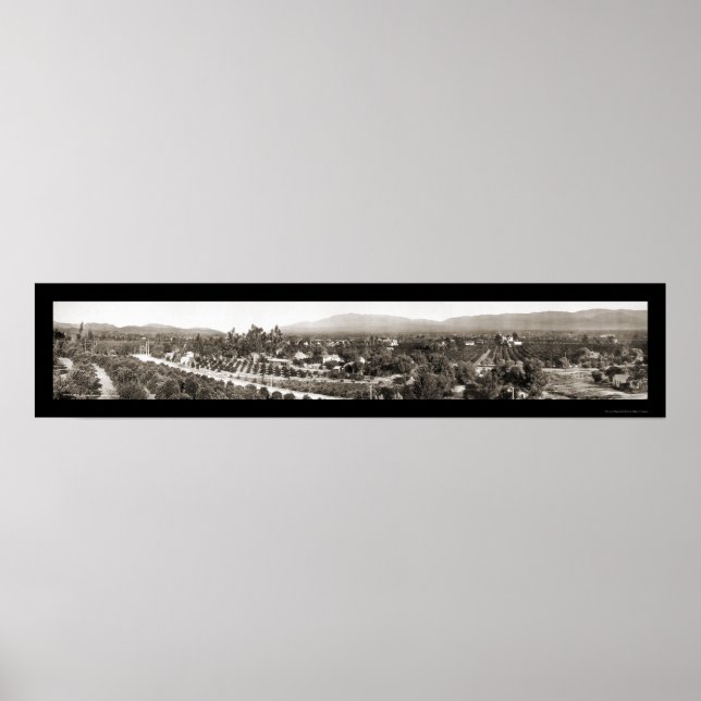 Redlands CA Panoramic Photo 1908 Poster (Front)