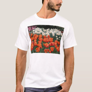 redorange_tulips T-Shirt