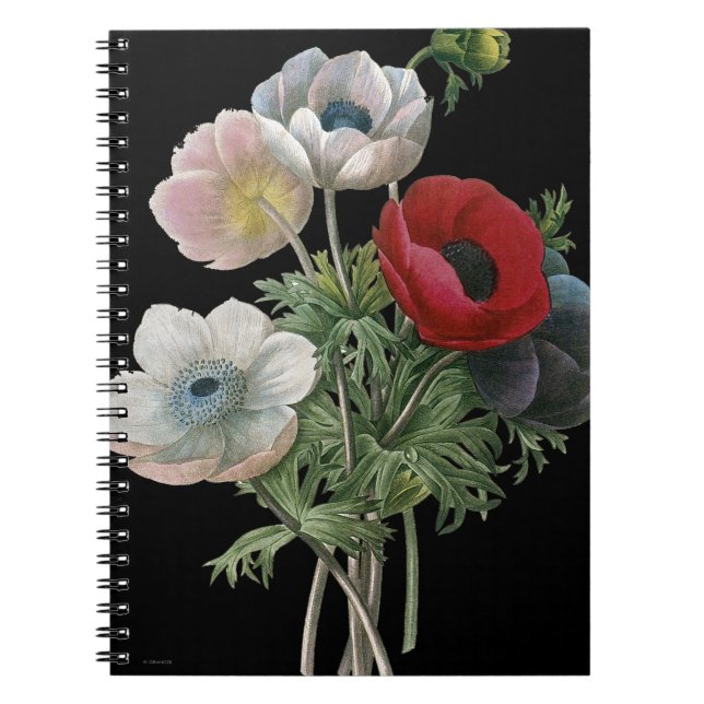 Redoute: Anemone, 1833 Notebook (Front)