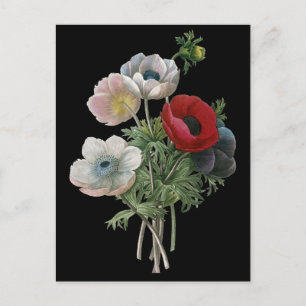 Redoute: Anemone, 1833 Postcard