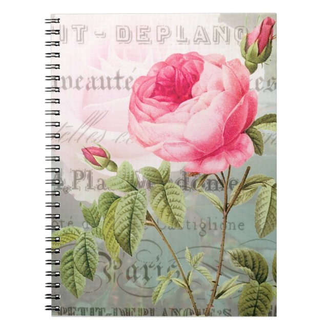 Redoute Antique Rose Français Carnet Shabby (Devant)