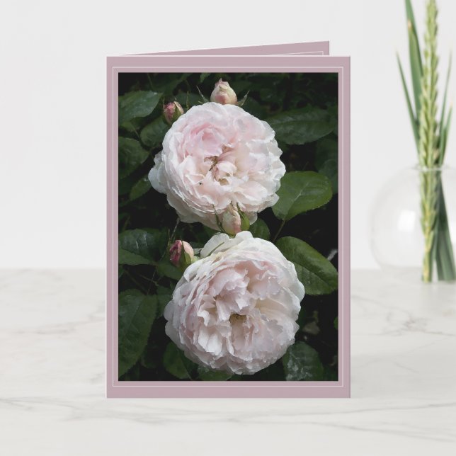 Redoute Card II (Front)