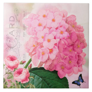 Redoute French Pink Hydrangea Roses Ceramic Tile