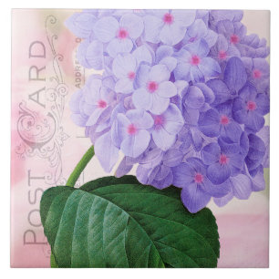 Redoute French Purple Hydrangea Ceramic Tile
