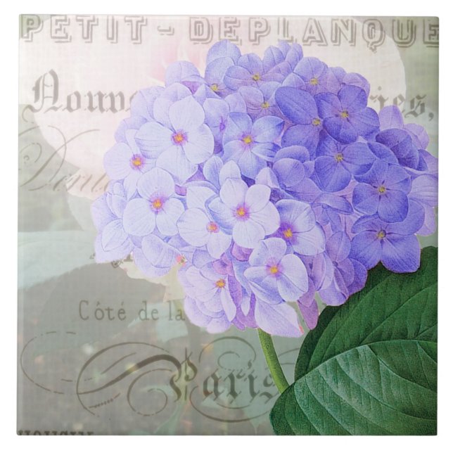 Redoute Hydrangea French Accent Ceramic Tile (Front)