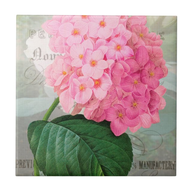 Redoute Pink Hydrangea Ceramic Tile (Front)