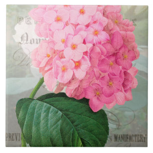 Redoute Pink Hydrangea Ceramic Tile
