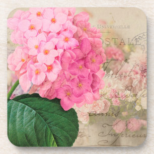 Redoute Pink Hydrangea French Accent Coasters