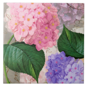 Redoute Pink Purple Hydrangea Ceramic Tile
