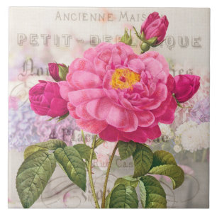 Redoute Pink Rose Ceramic Tile