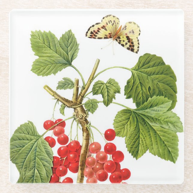 Redoute Plant Glass Coaster (Front)