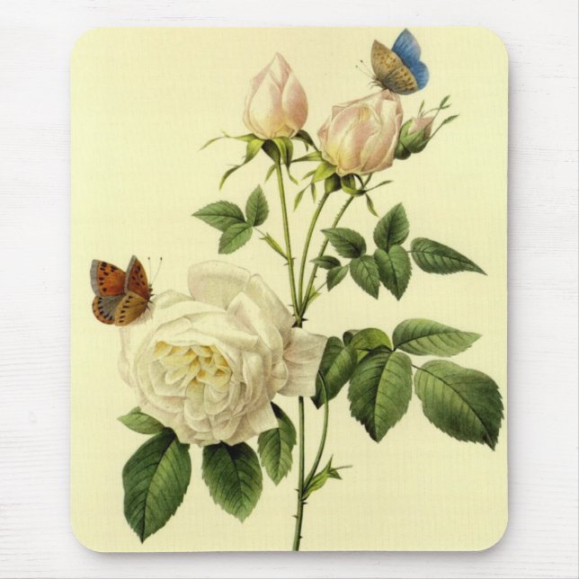 Redoute Print: 'Bengal Rose Hymanee' Mouse Pad (Front)