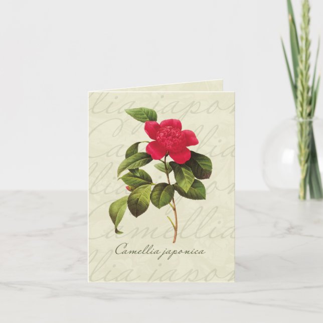 Redoute Red Camellia Botanical Print Note Cards (Front)