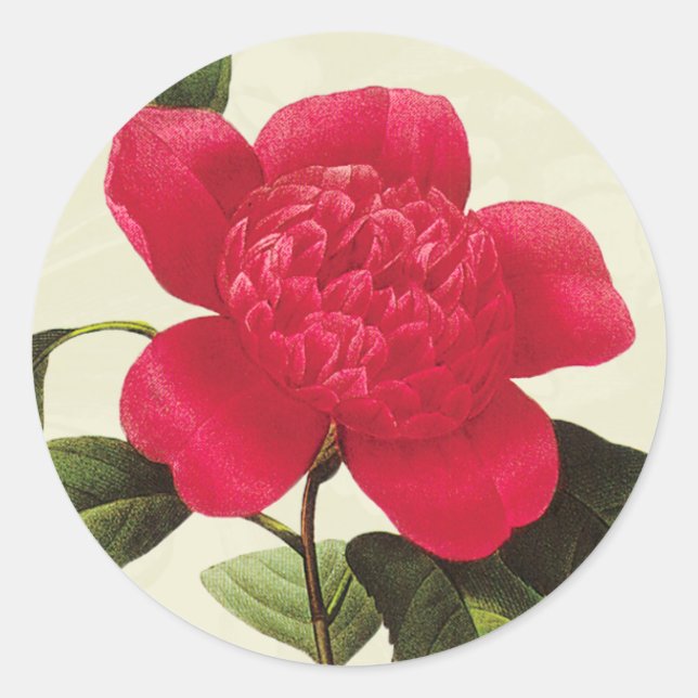 Redoute Red Camellia Botanical Print Stickers (Front)