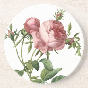 Redoute Rose Coaster