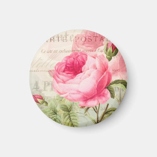 Redoute Rose Rose Cercle Magnet