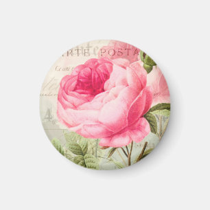 Redoute Rose Rose Cercle Magnet