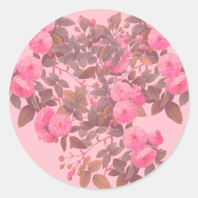 Redoute Roses Classic Round Sticker (Front)