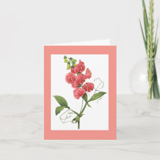 Redoute Sweet Pea Notecard