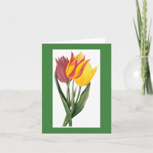 Redoute Tulip Notecard
