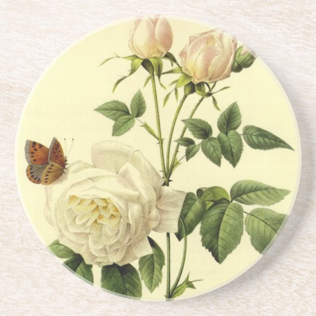Redoute Vintage Print Bengal Rose the Hymanee Coaster (Front)