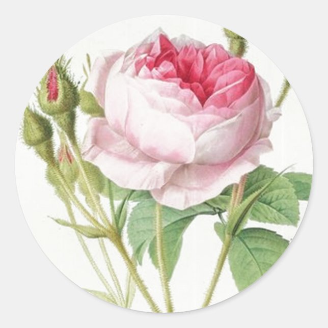 Redoute Vintage Rose Circle Shape Stickers (Front)